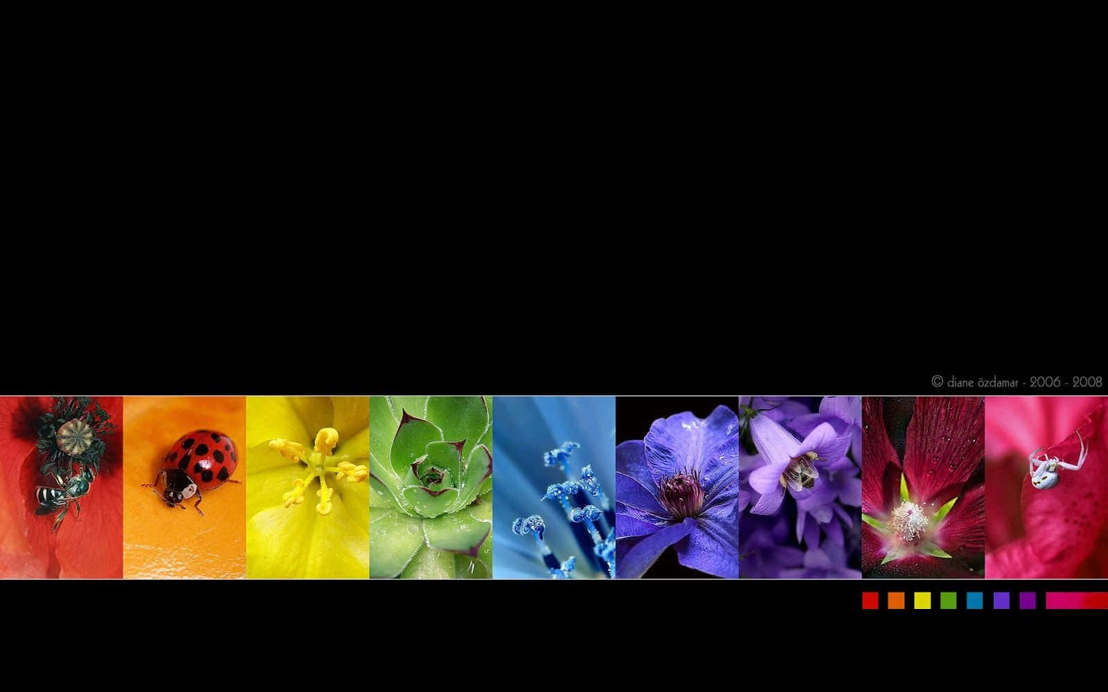 Image A Gorgeous View Of A Black Rainbow, Radiating Awe And Admiration. Background