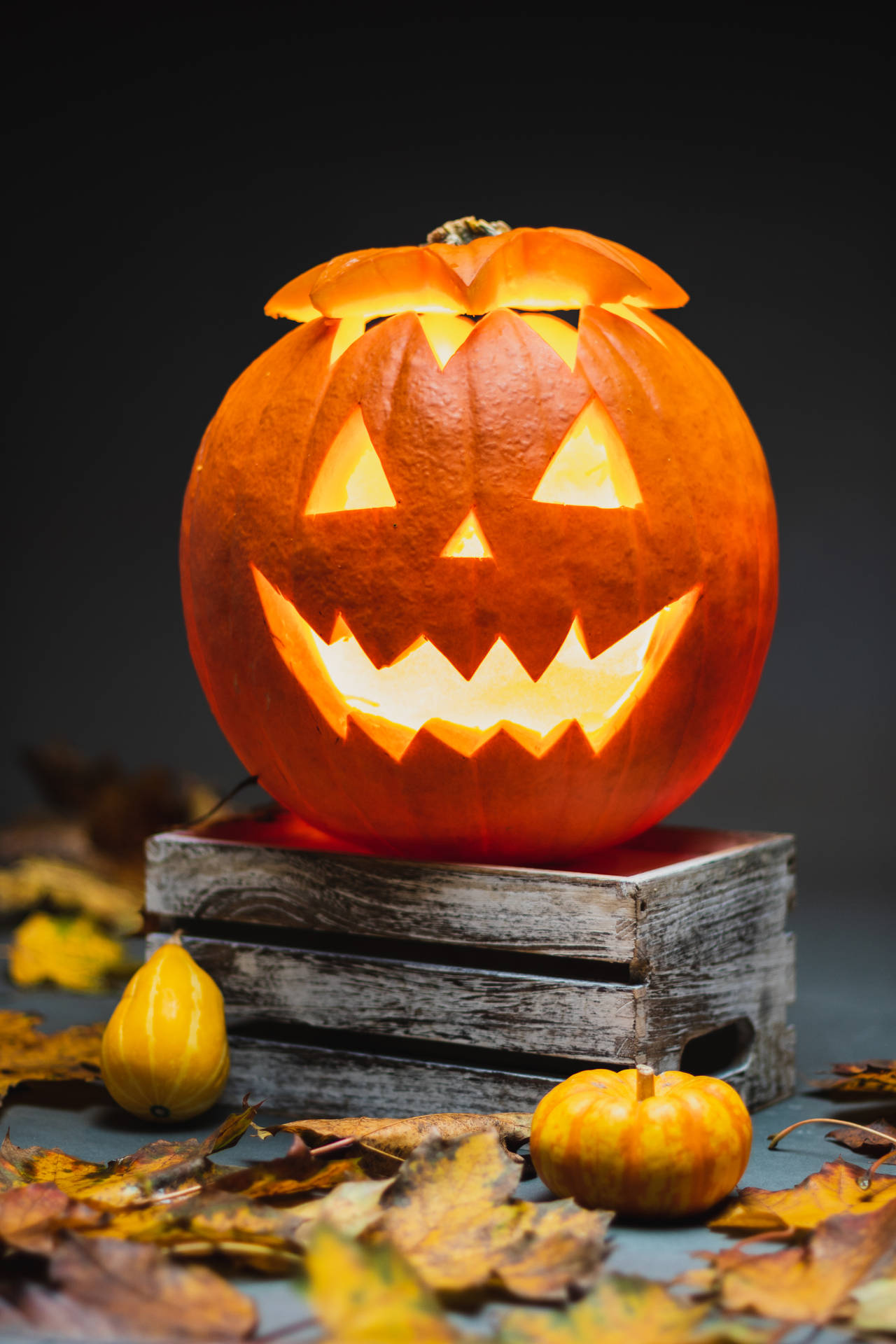 Image A Halloween Pumpkin, Ready For Spooky Festivities! Background