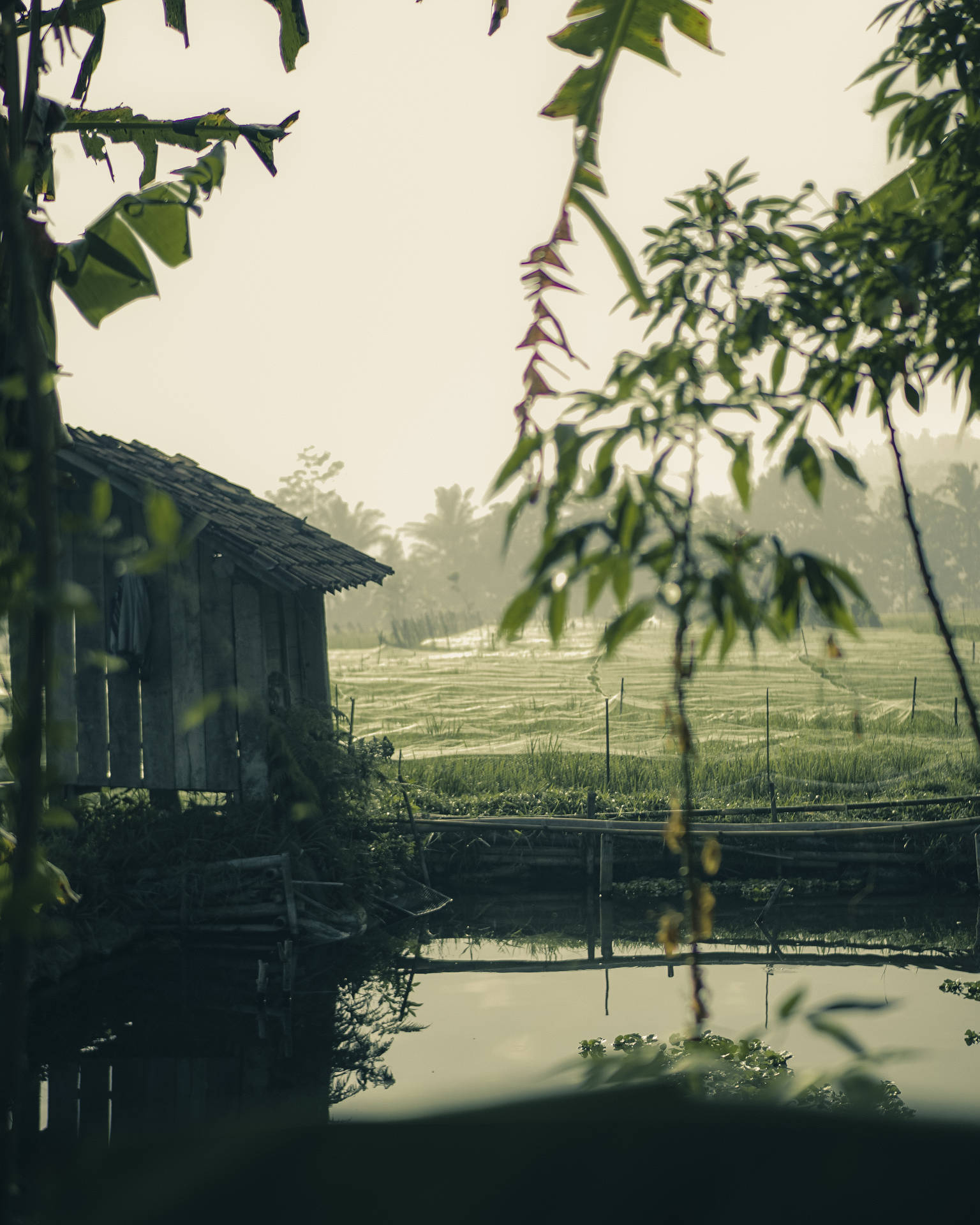 Image A Picturesque View Of The Countryside On A Rainy Day. Background