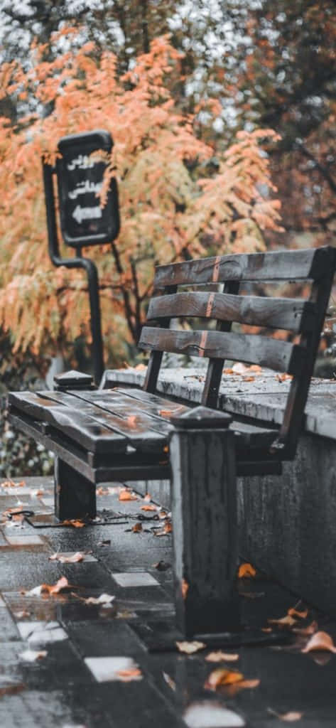 Image A Vintage Fall Scene In The Countryside Background