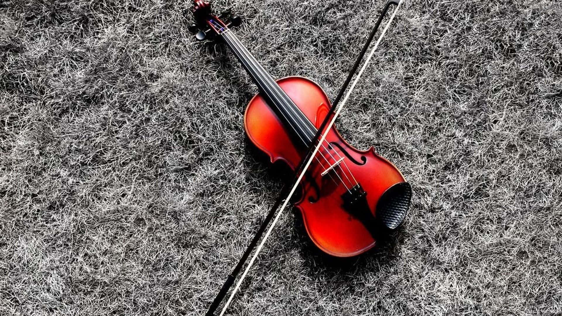 Image A Violinist Playing His Instrument Background