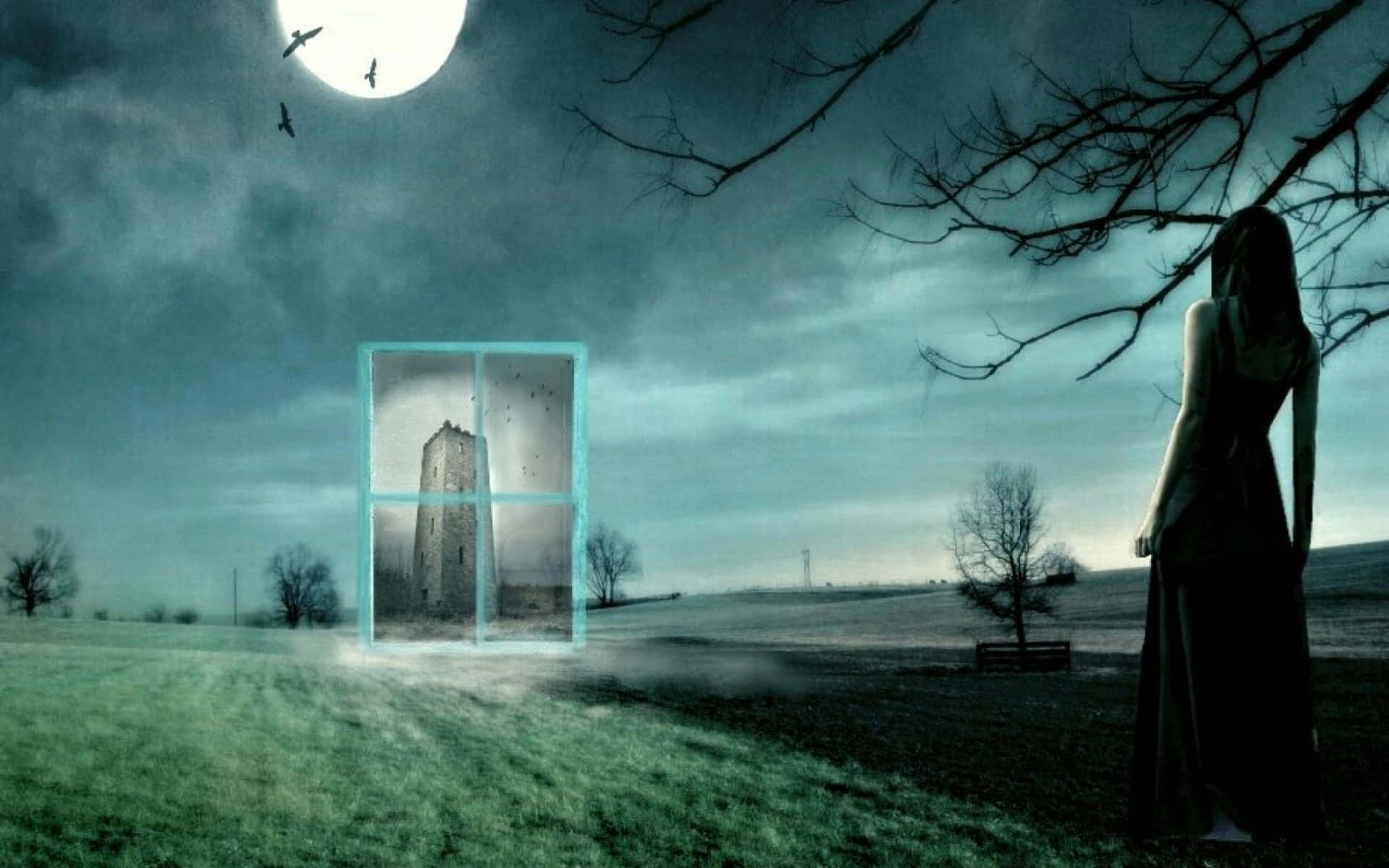 Image “admiring The Beautiful Magic Moon In The Night Sky.” Background