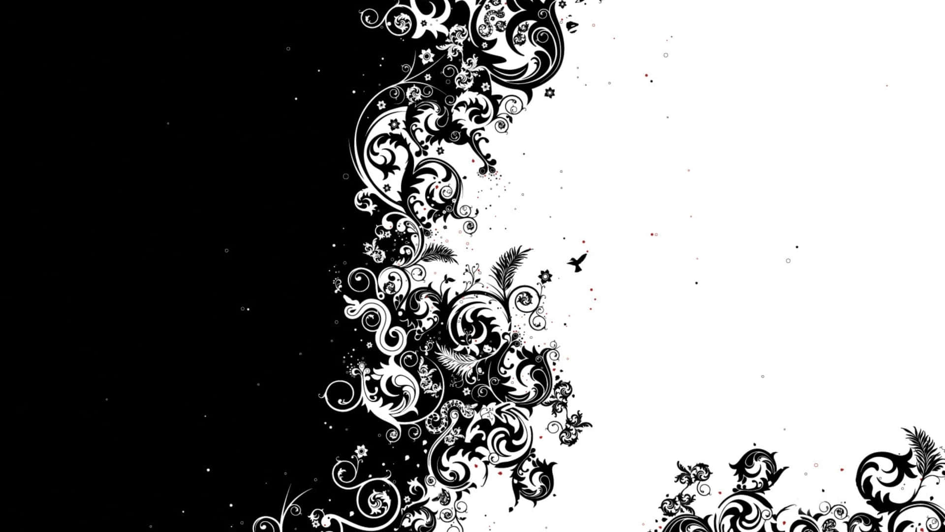 Image An Intriguing Abstract Painting Of Black And White Shapes Background