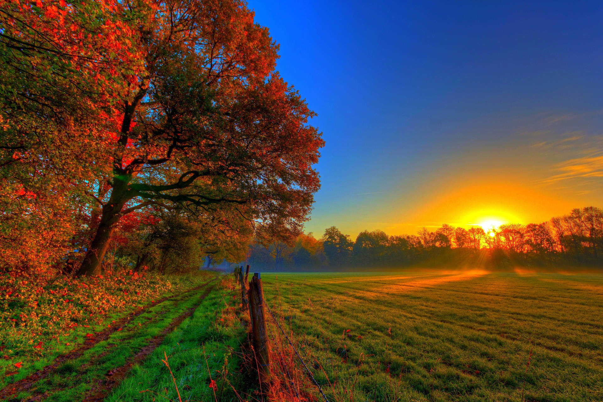 Image Autumn Colors Abound At A Fall Farm Background