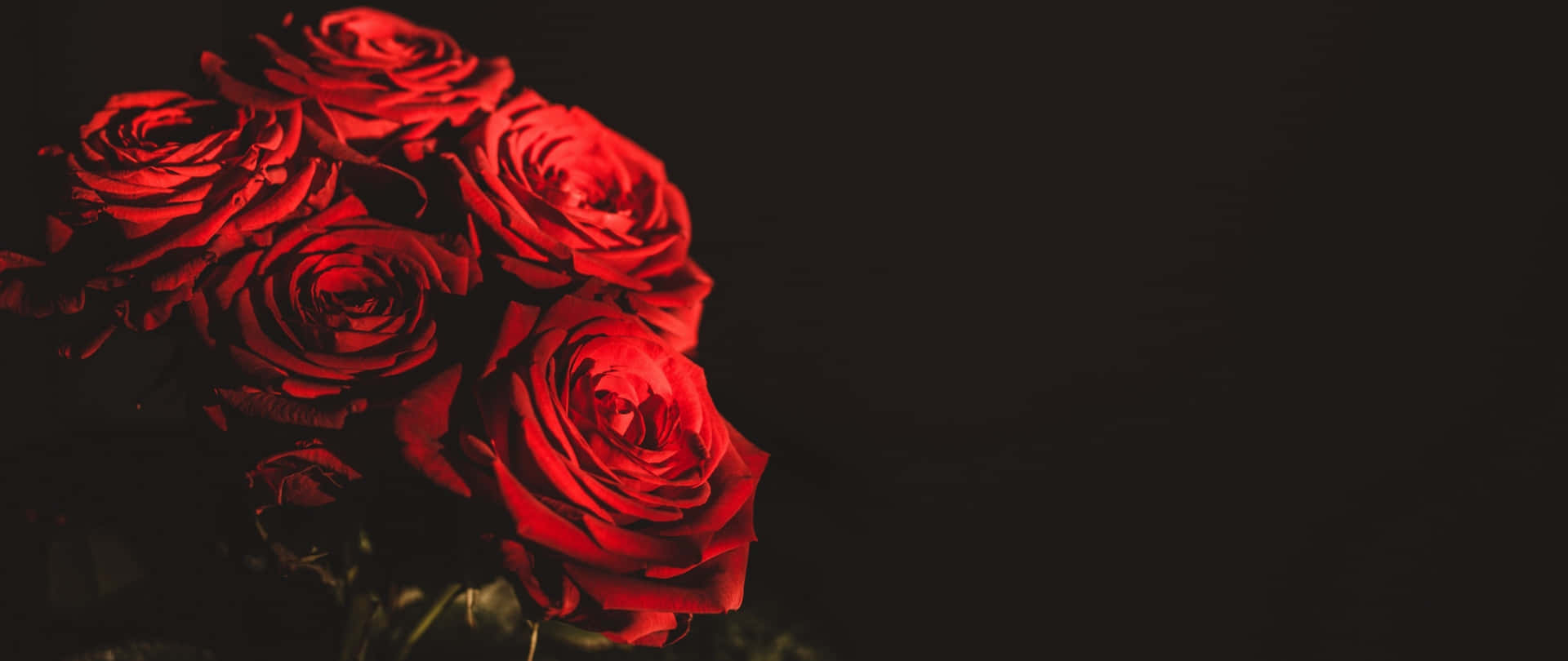 Image Beautiful Red Roses On Valentines Day
