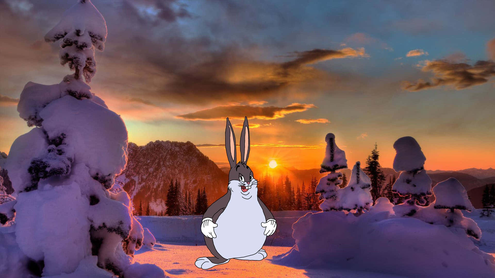 Image Big Chungus Greets You With Open Arms Background