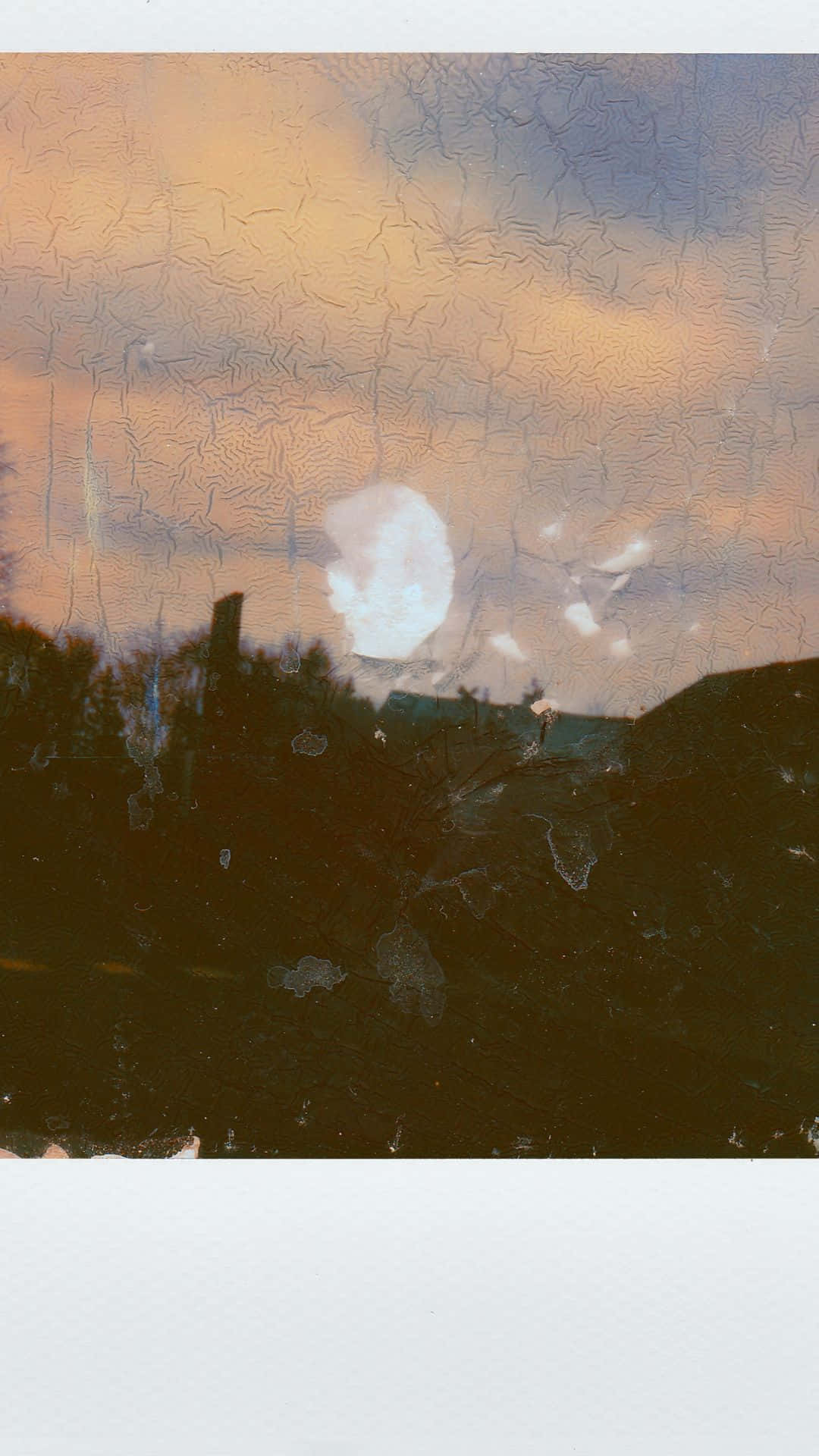 Image Blooming Beauty