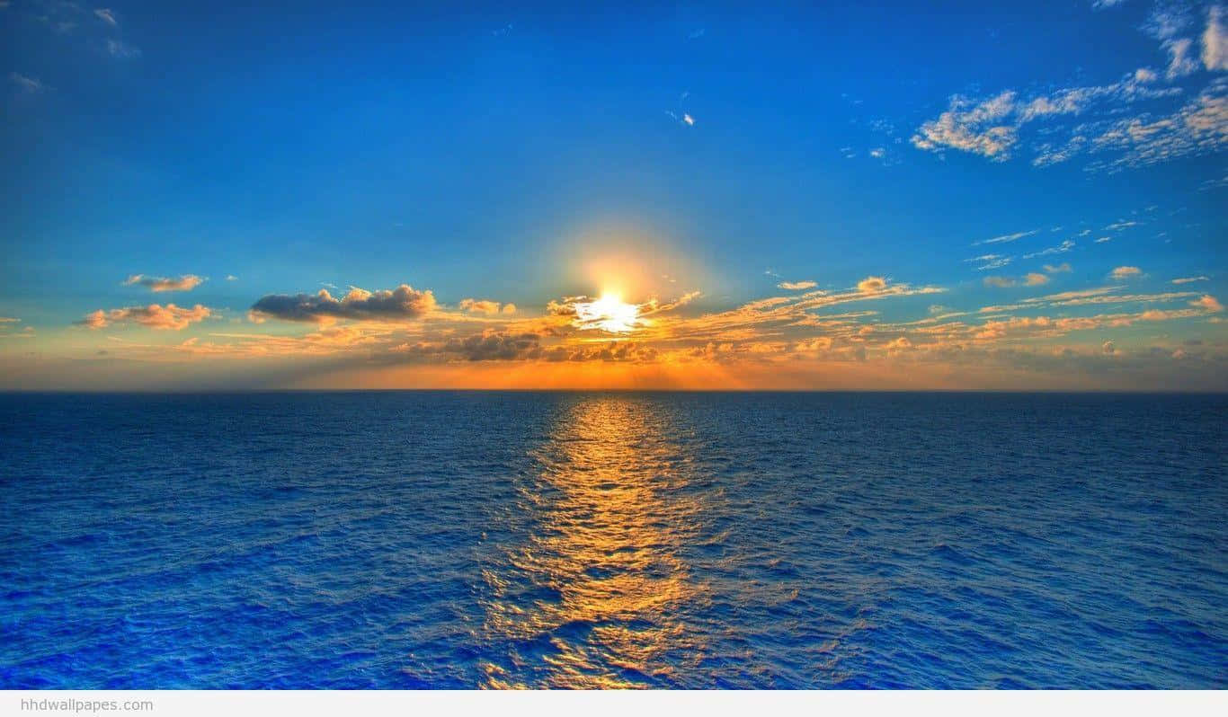 Image Bright And Colorful Hd Desktop Wallpaper