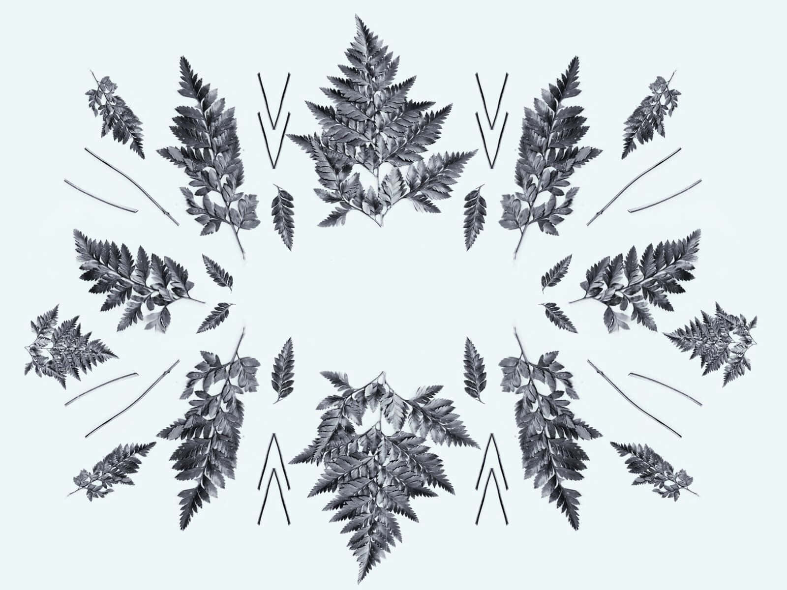 Image Brilliant Botanical Patterns Background