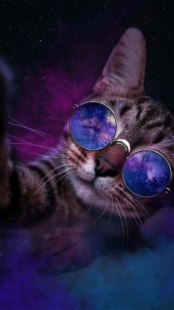 Image Bring Your Dreams To Life With Galaxy Cat Background