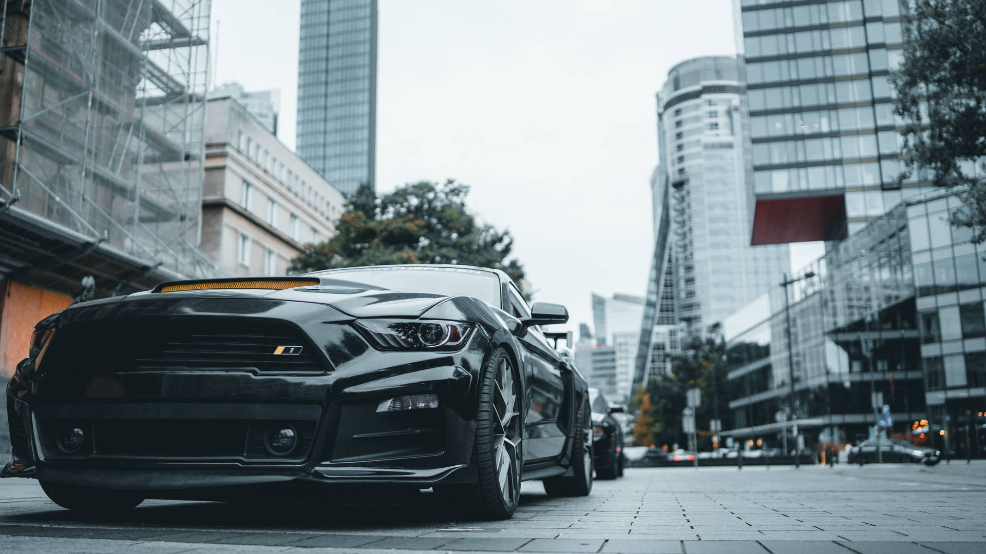 Image Cool Mustang Sports Car On Open Road Background