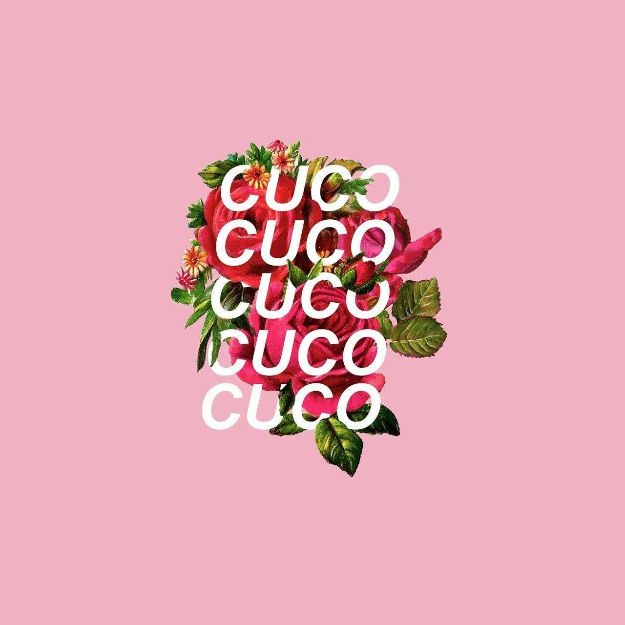 Image Cuco Brings His Unique Sound Of Los Angeles To The World Background