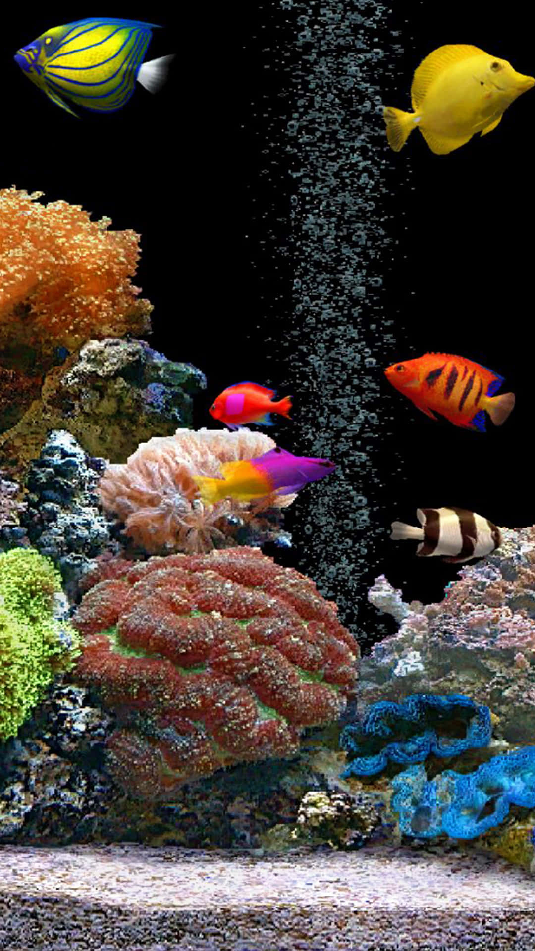 Image Delightful Aquarium Iphone Wallpaper Background