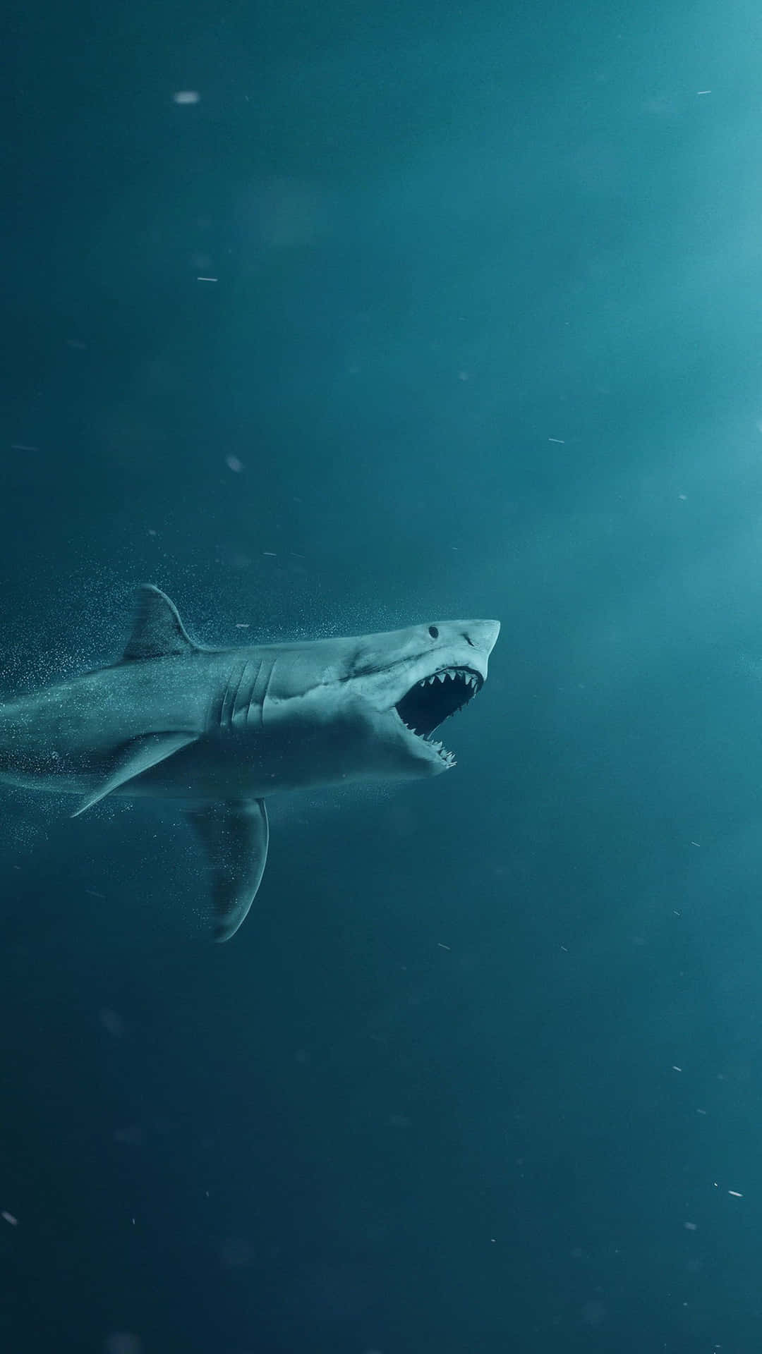 Image Dive In To Your Next Iphone With A Shark Background