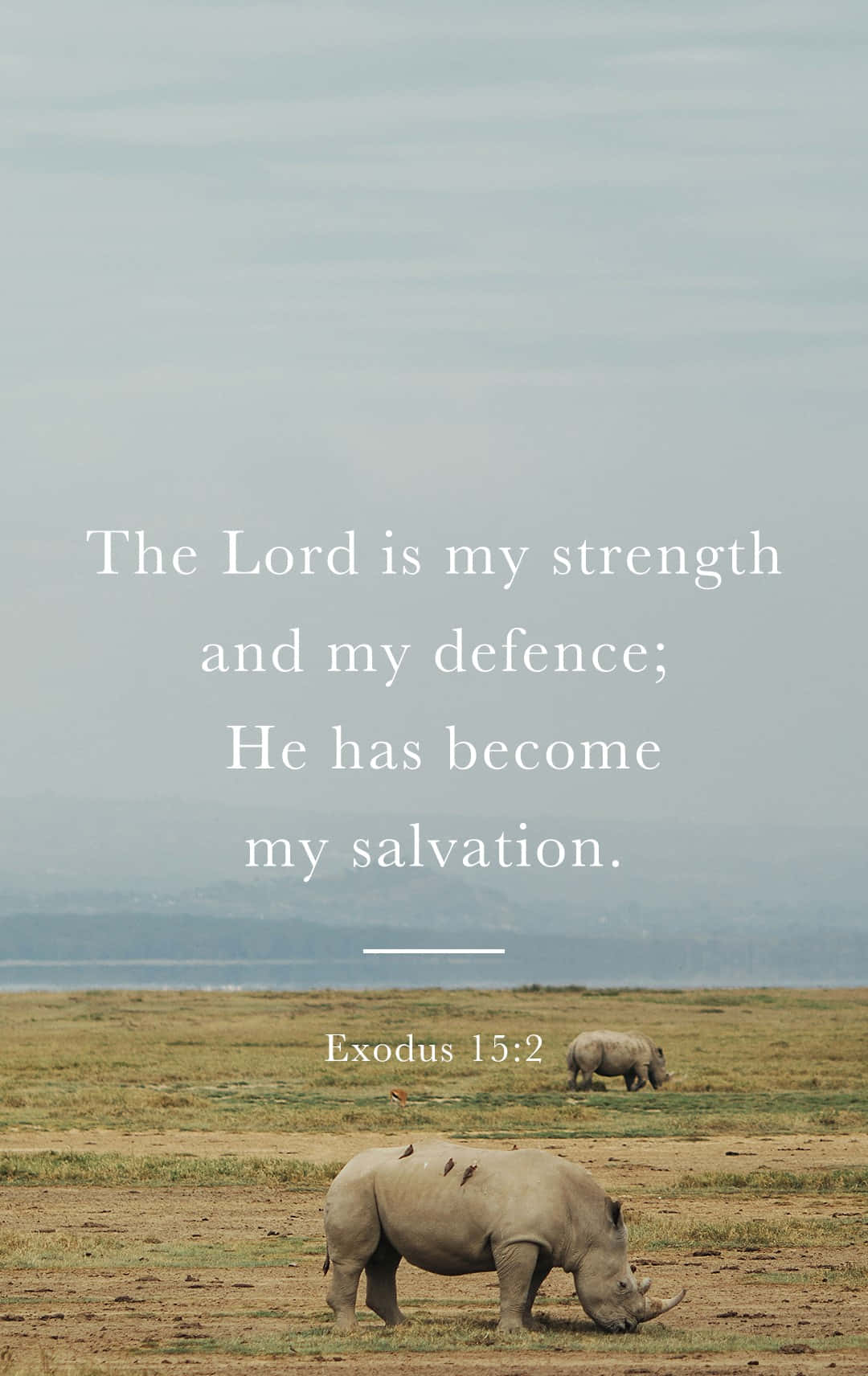 Image “download Bible Verse Phone Wallpaper Now” Background