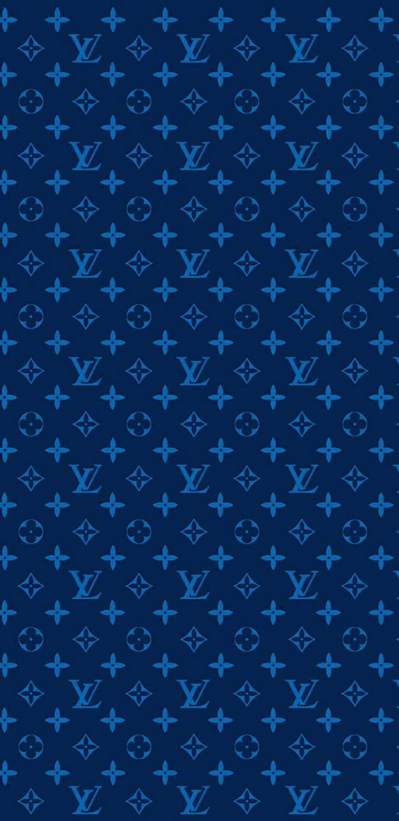 Image Elegant Louis Vuitton Blue Shoes Background