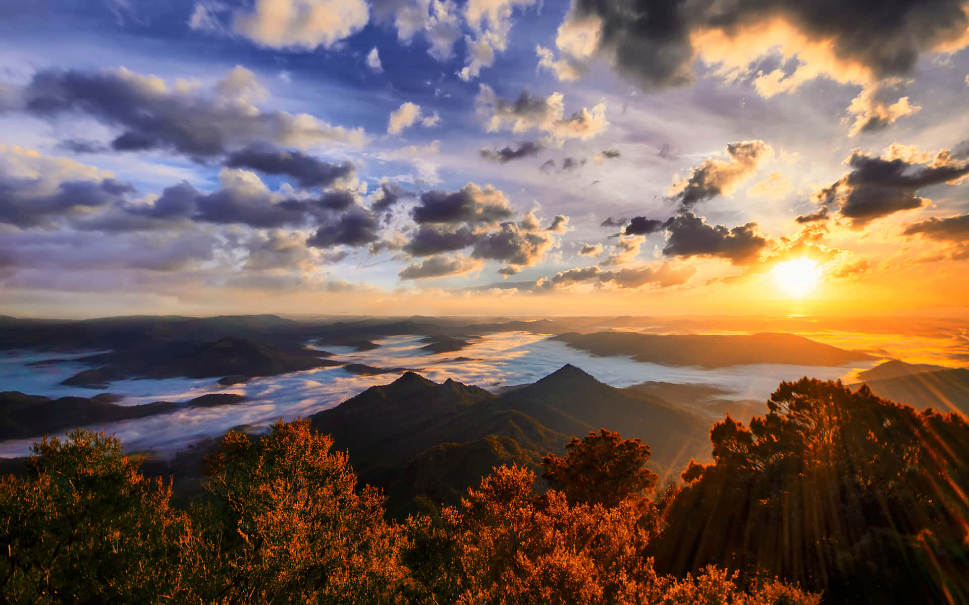 Image Enjoy The Calm & Serene Beauty Of Nature Background