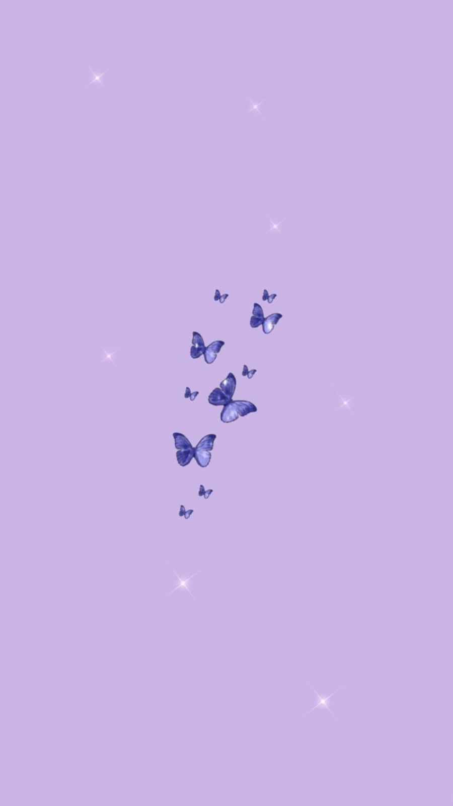 Image Funny, Cute Light Purple Bunny