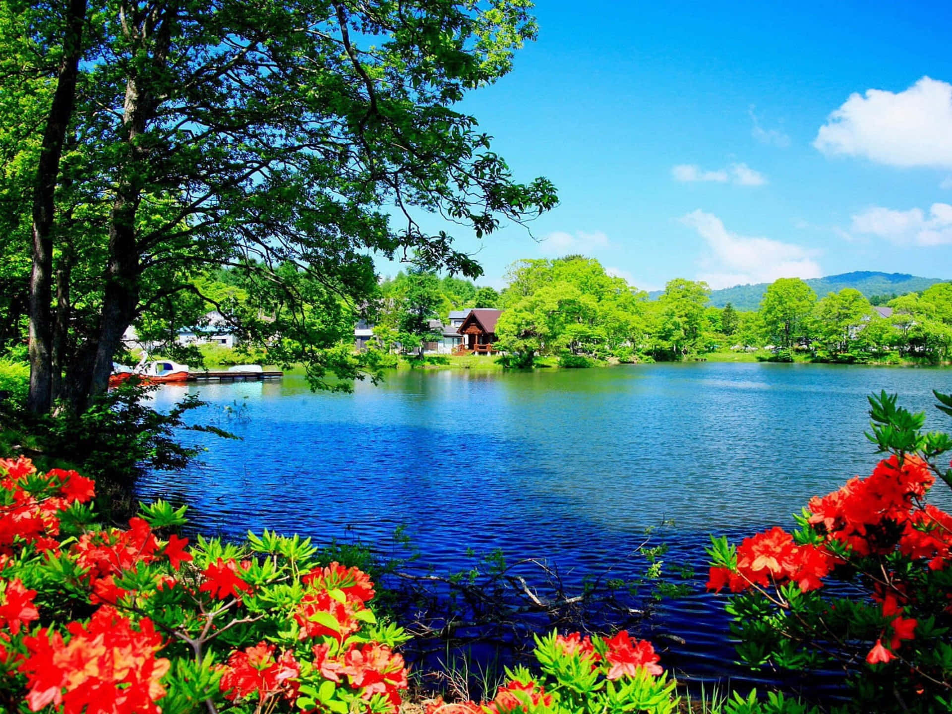 Image Gorgeous Glistening Morning Background