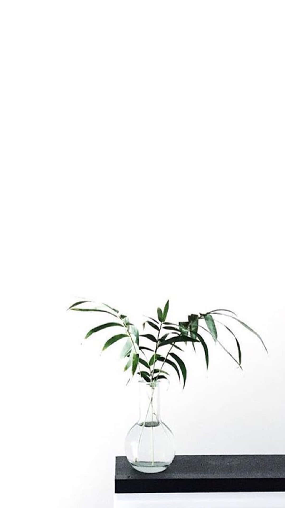 Image High-quality Aesthetic Minimalist Iphone Wallpaper Background