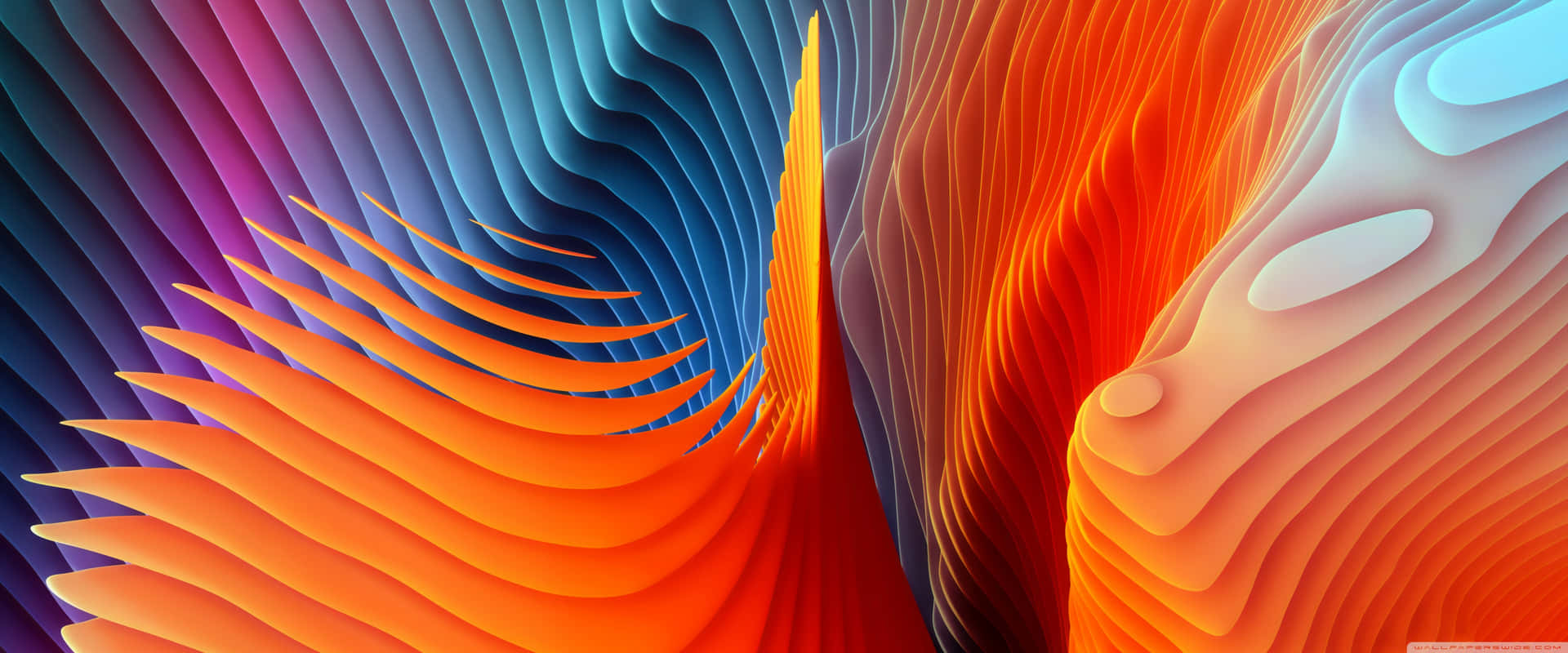 Image High Resolution Apple Wallpaper Background