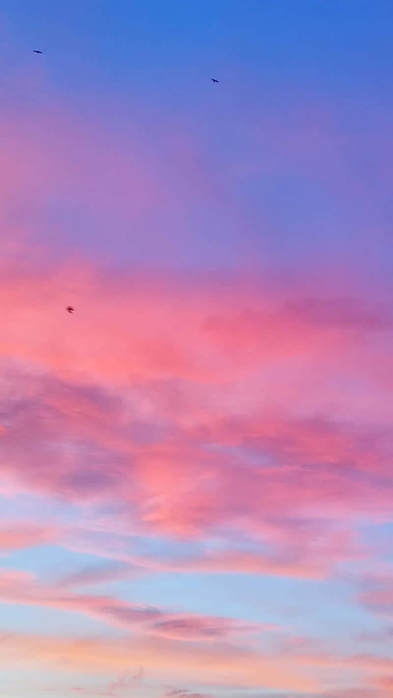 Image Hot Pink And Blue Sky With Clouds Background