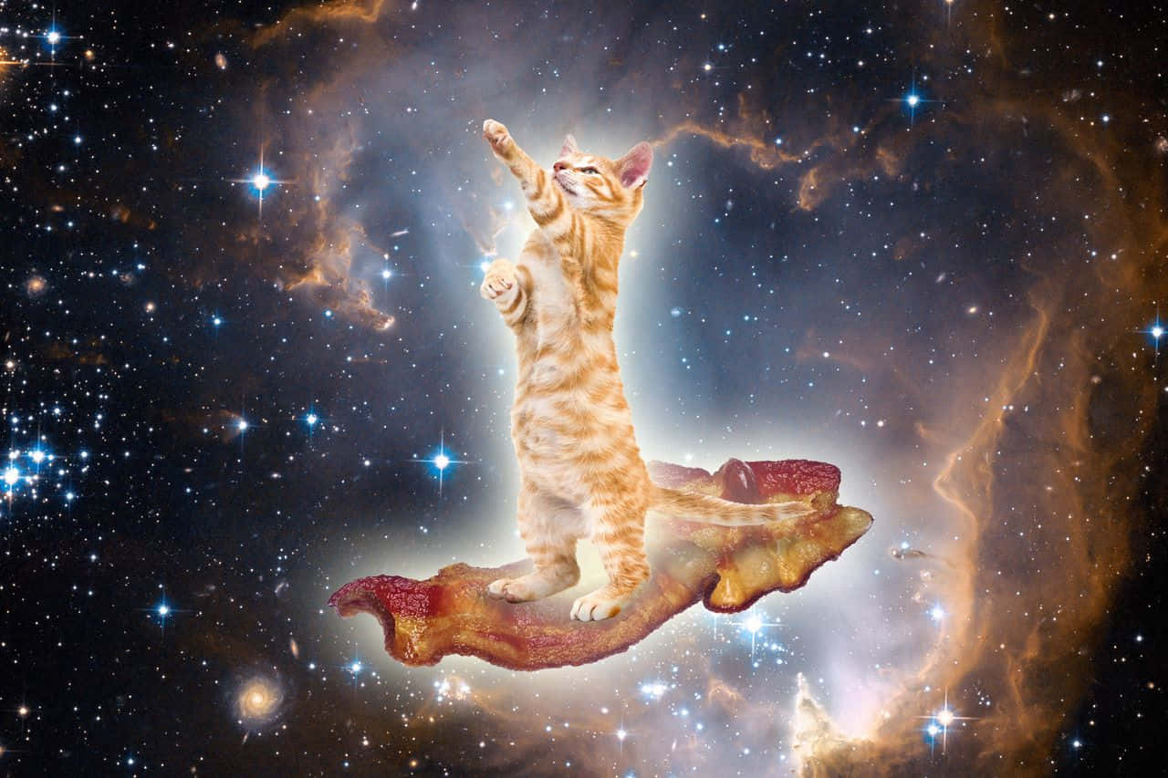 Image Jump Into The Unknown With Galaxy Cat
