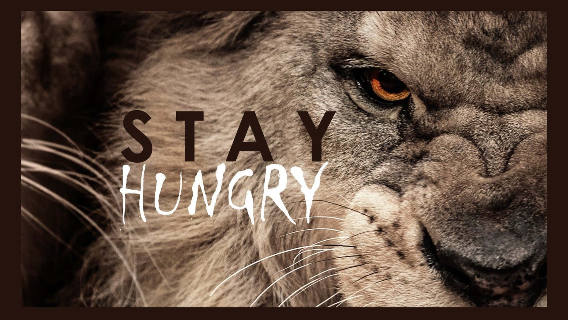 Image “life Is Full Of Challenges, So Put On Your Brave Face And Face Them Like A Lion.” Background