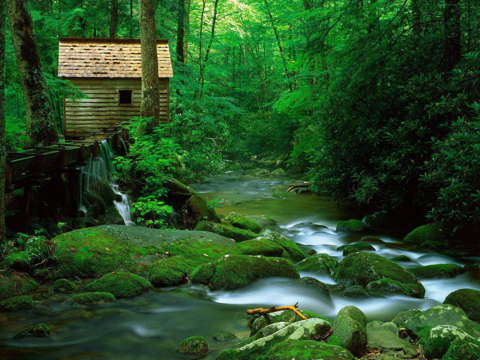 Image Magnificent View Of The Great Smoky Mountains Background