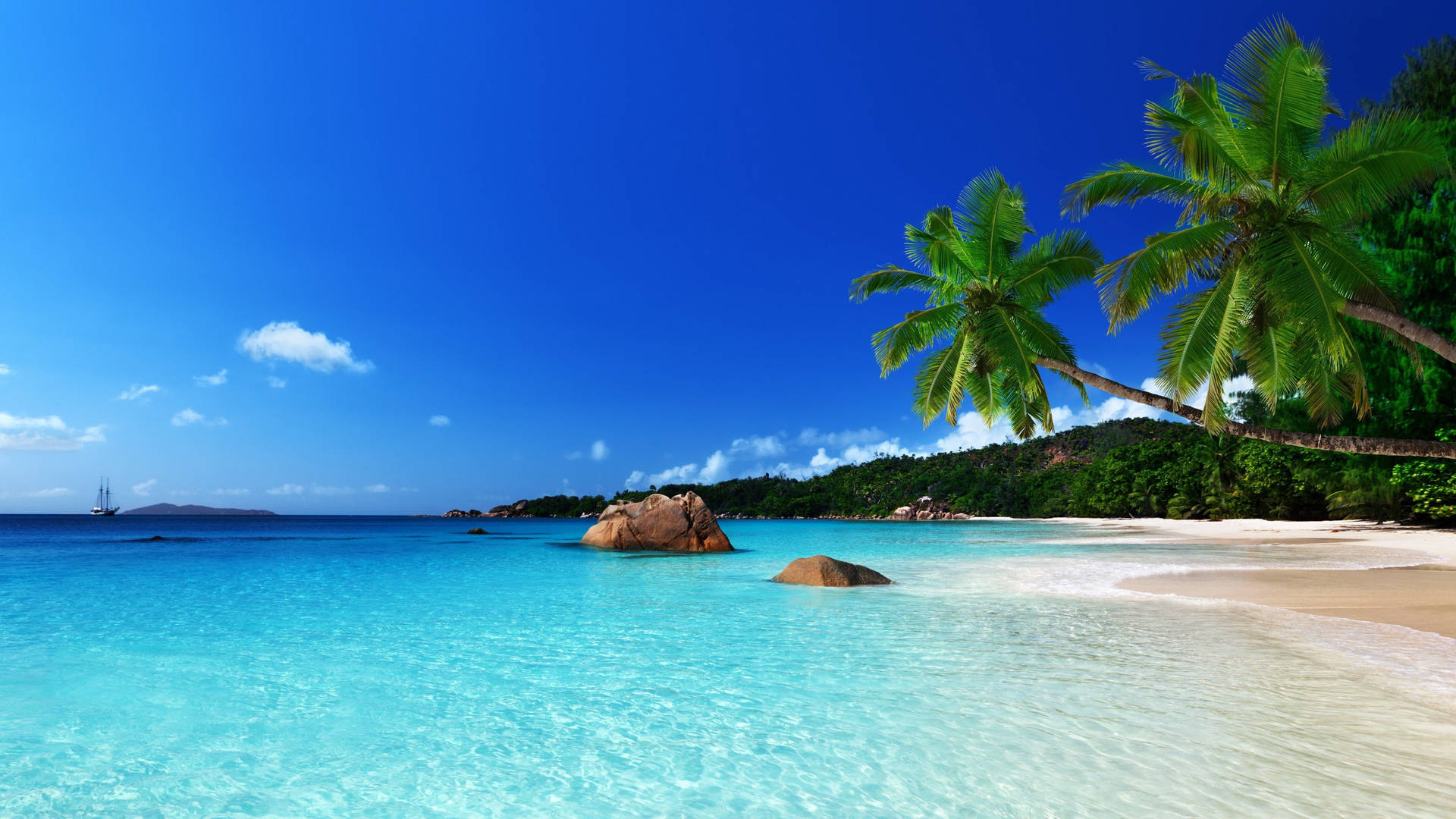 Image Majestic Sunrise Over A Sandy Beach Background