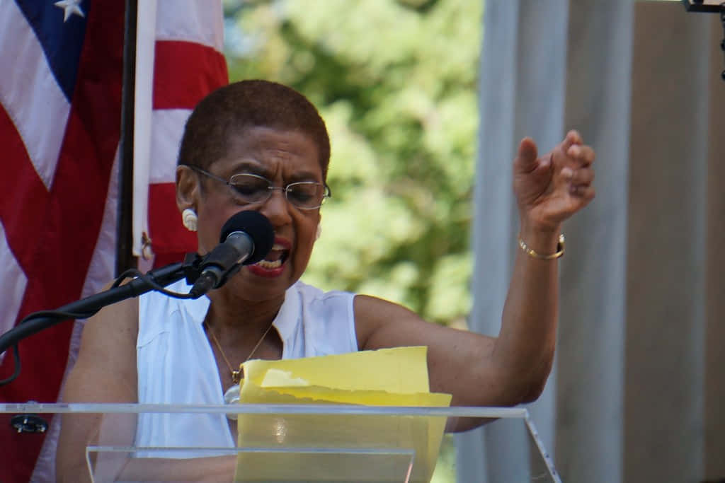 Image Of Eleanor Holmes Norton From Her Speech Background