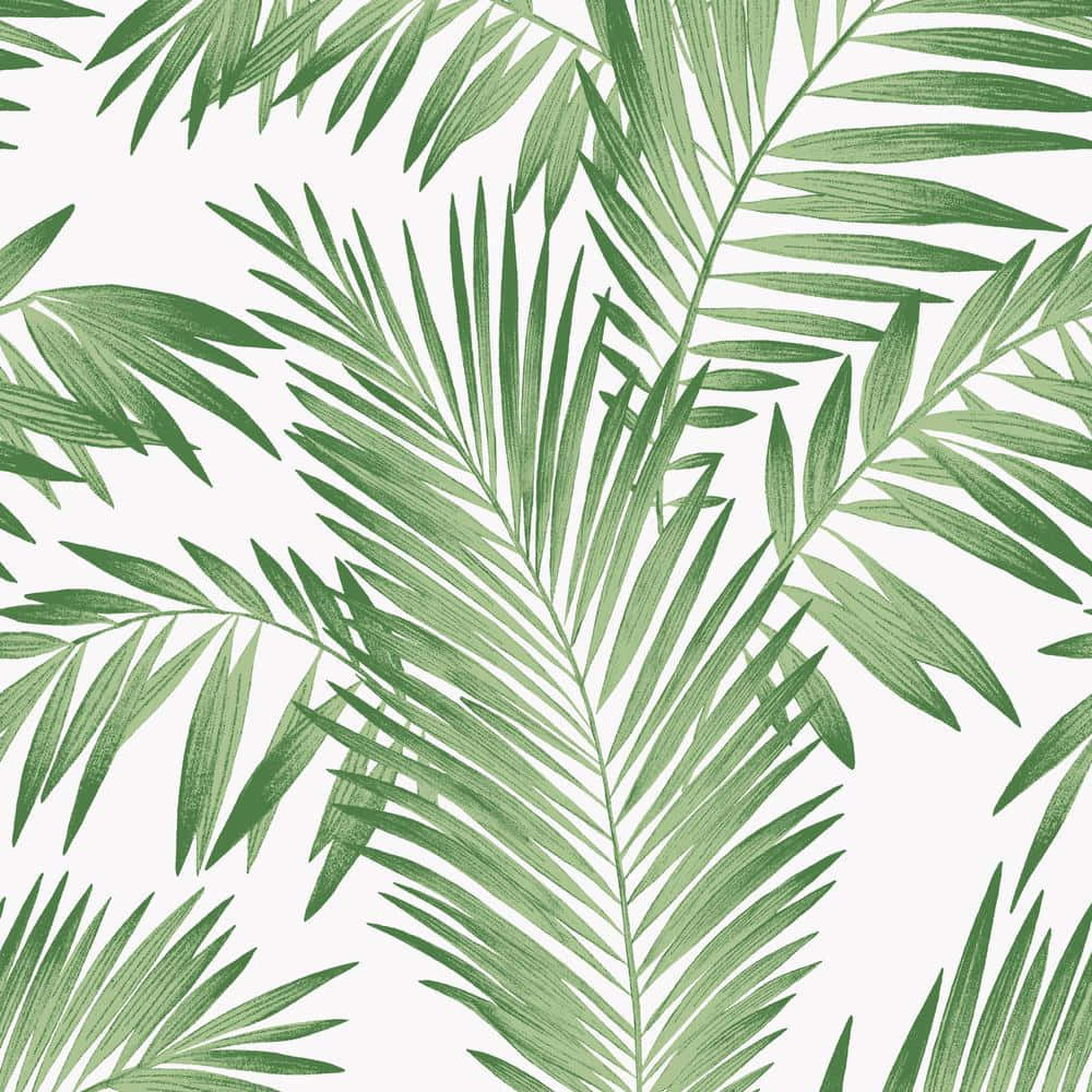 Image Paradise Awaits At Aesthetic Tropical Background