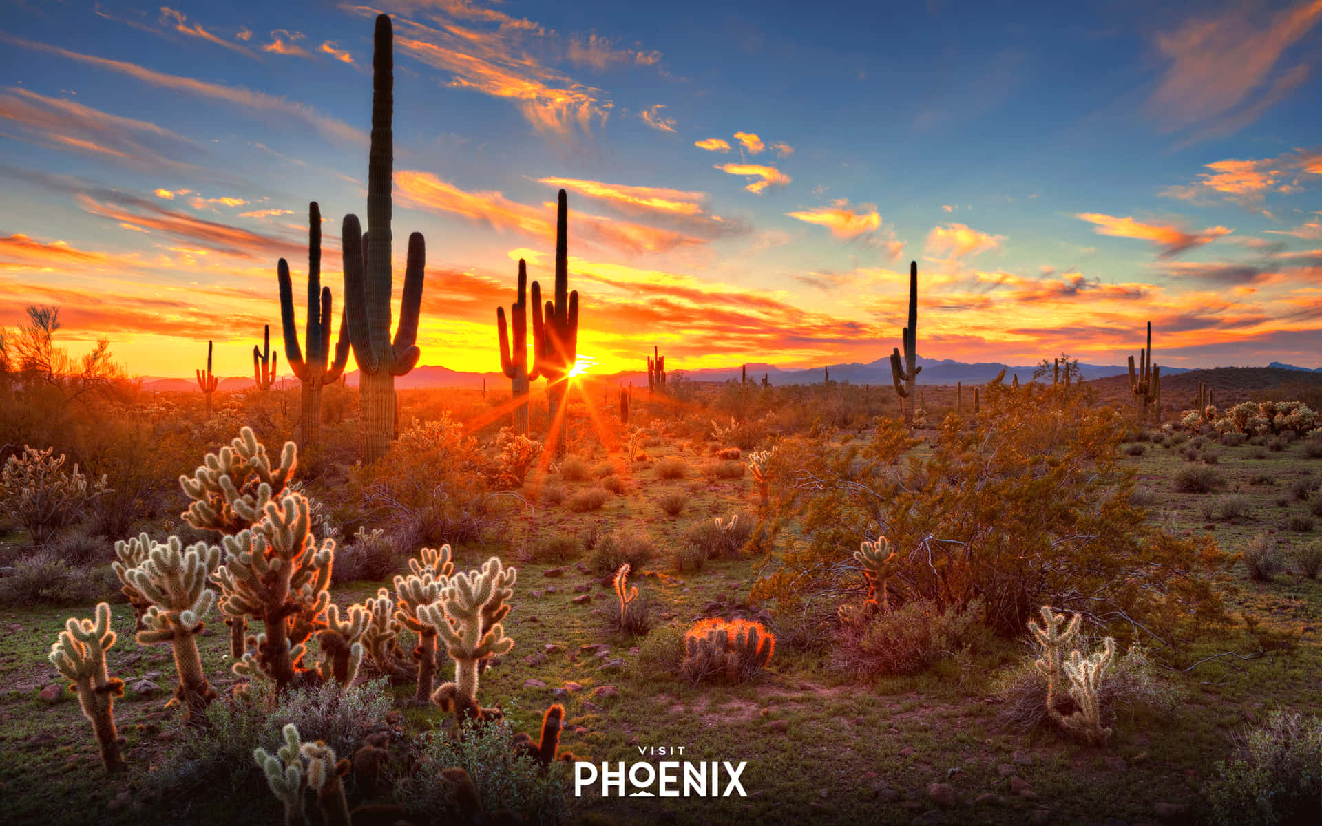Image Phoenix Arizona Skyline At Sunset Background