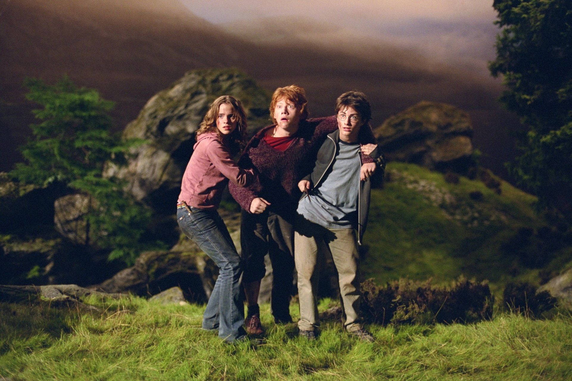 Image Ron Weasley On The Search For The Deathly Hallows Background