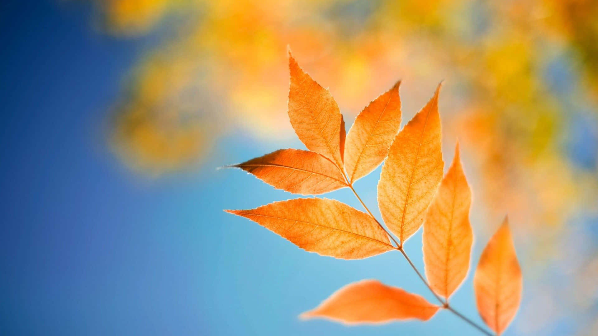 Image Secure Your Laptop With A Lock Screen