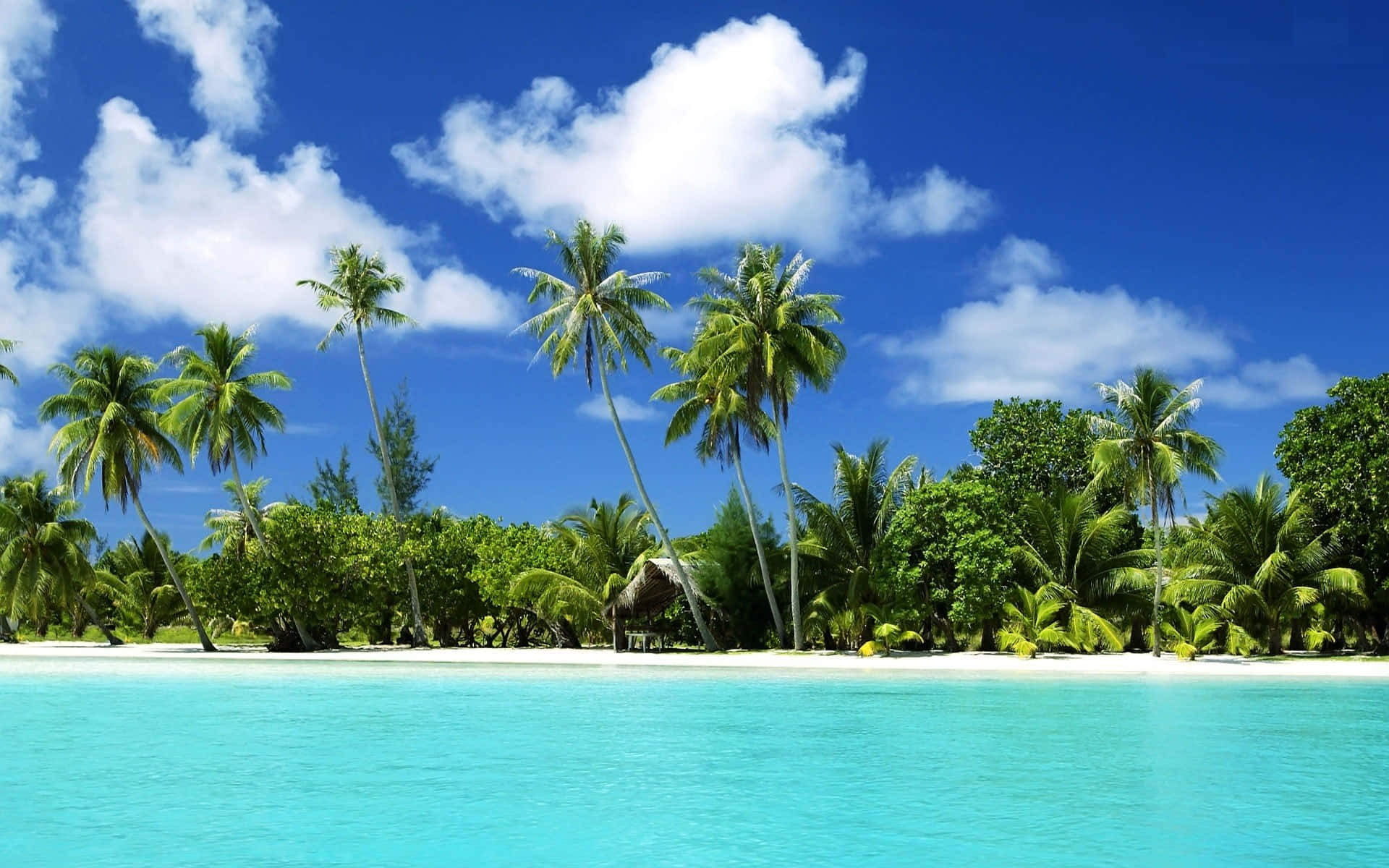 Image Serene Tropical Beach Scene Background