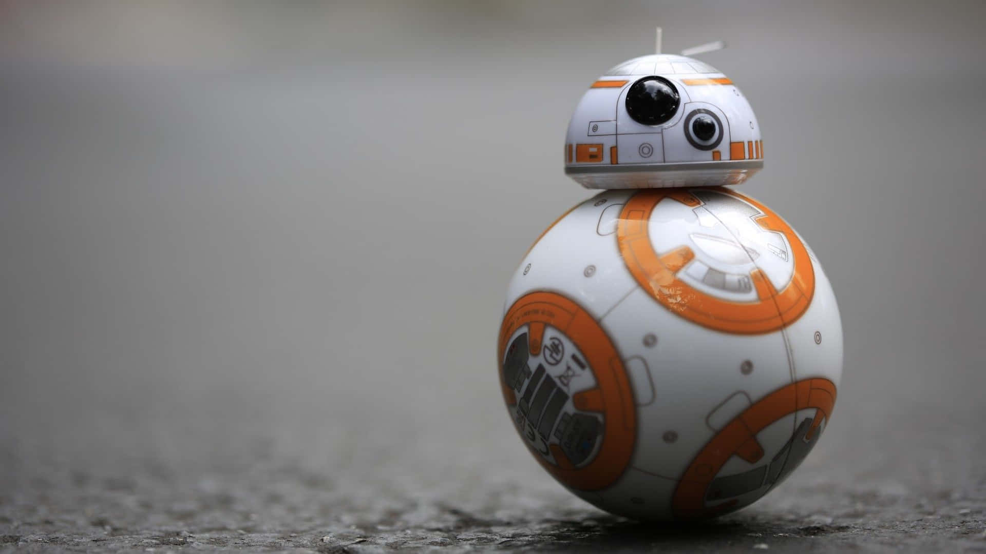 Image Sweet, Cheerful Bb-8 With A Star Wars Fan.