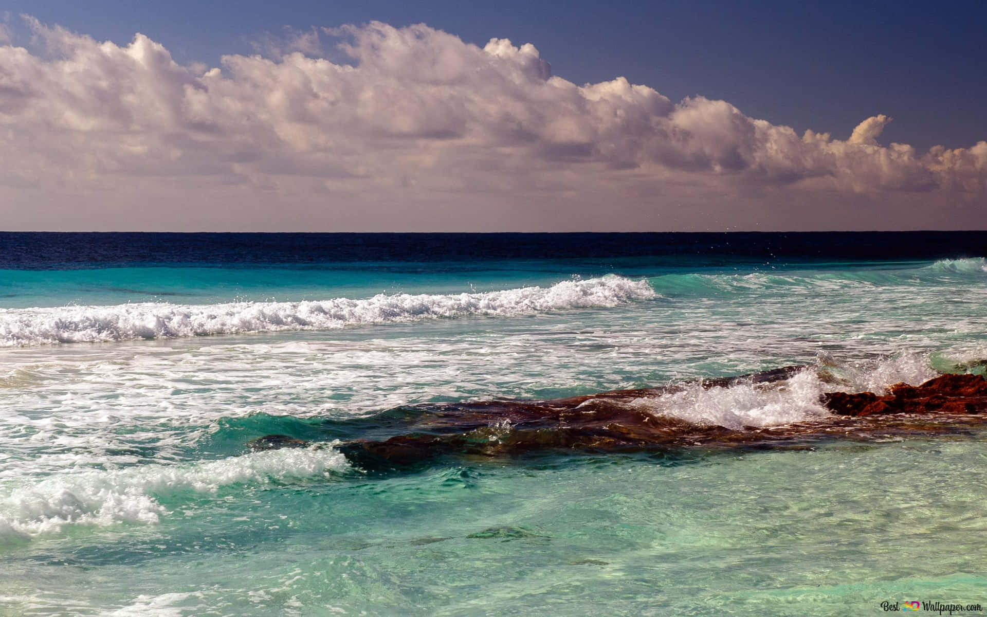 Image The Beauty Of The Ocean Shines Bright Background