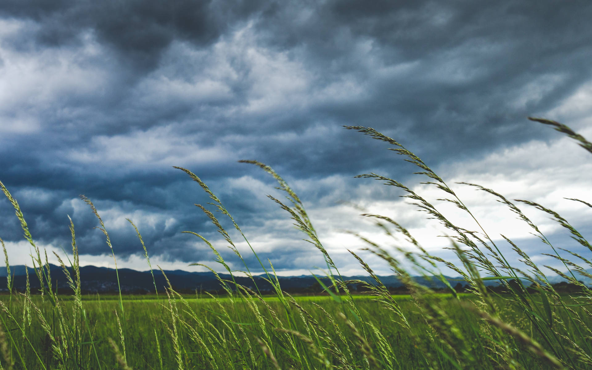 Image Vast Countryside Rolling Across A Horizon Of An Overcast Sky