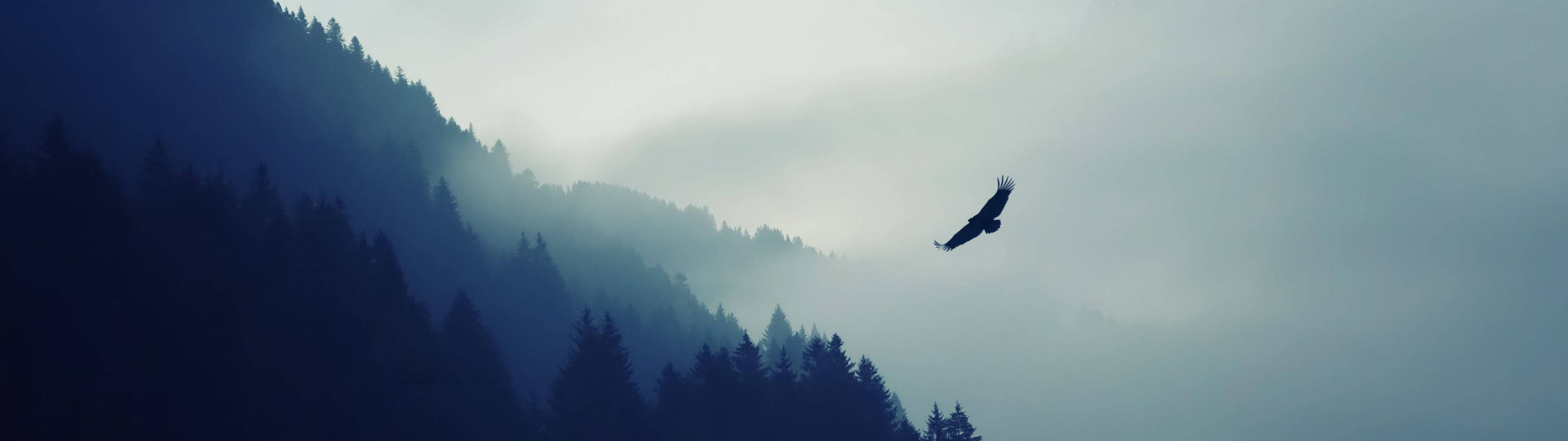 Image View Of Majestic Eagle Soaring Over Mountainside. Background
