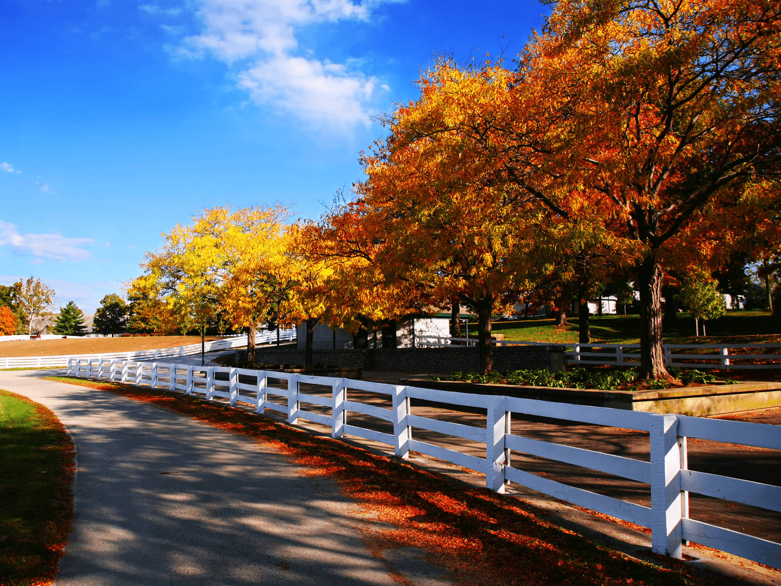 Image Walking Through A Picturesque Fall Farm