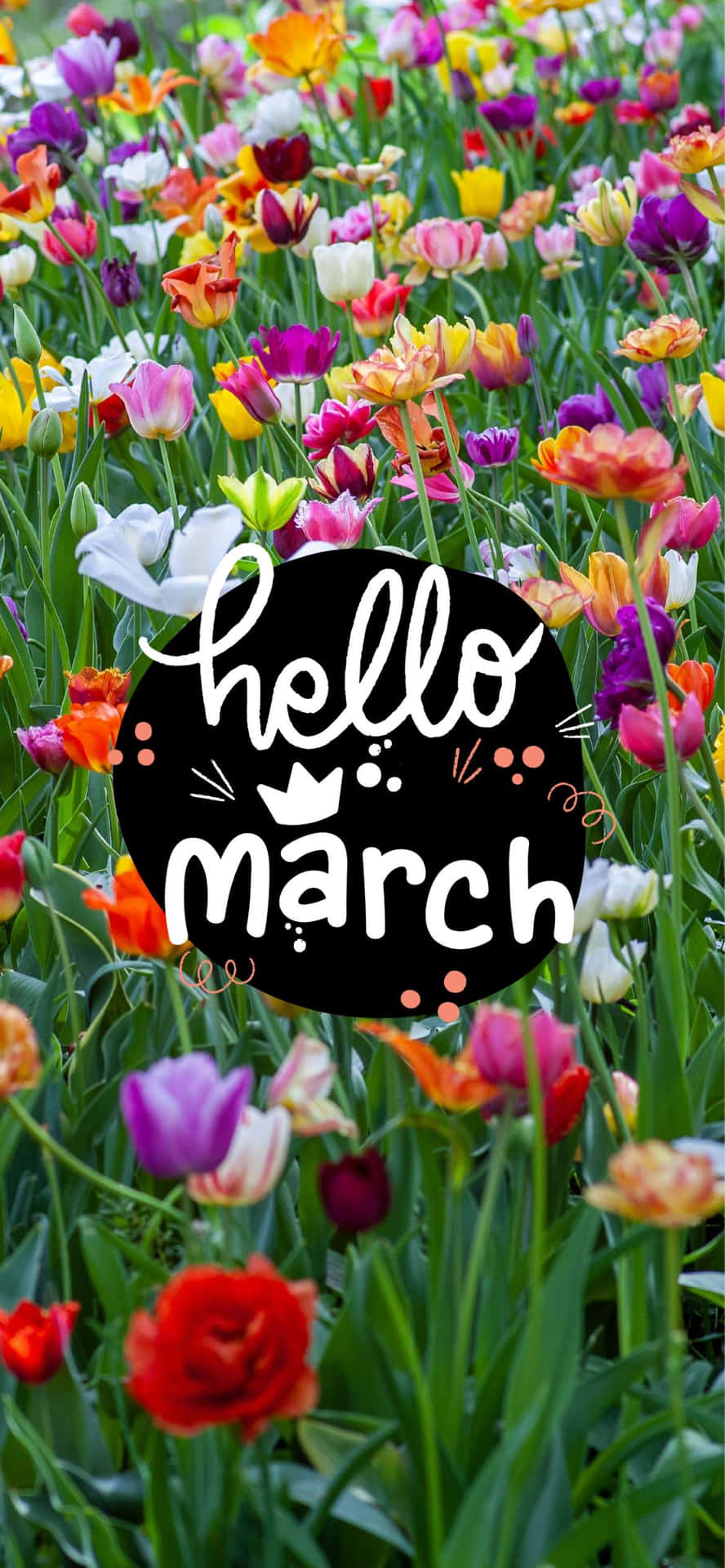 Image “welcome To March!”