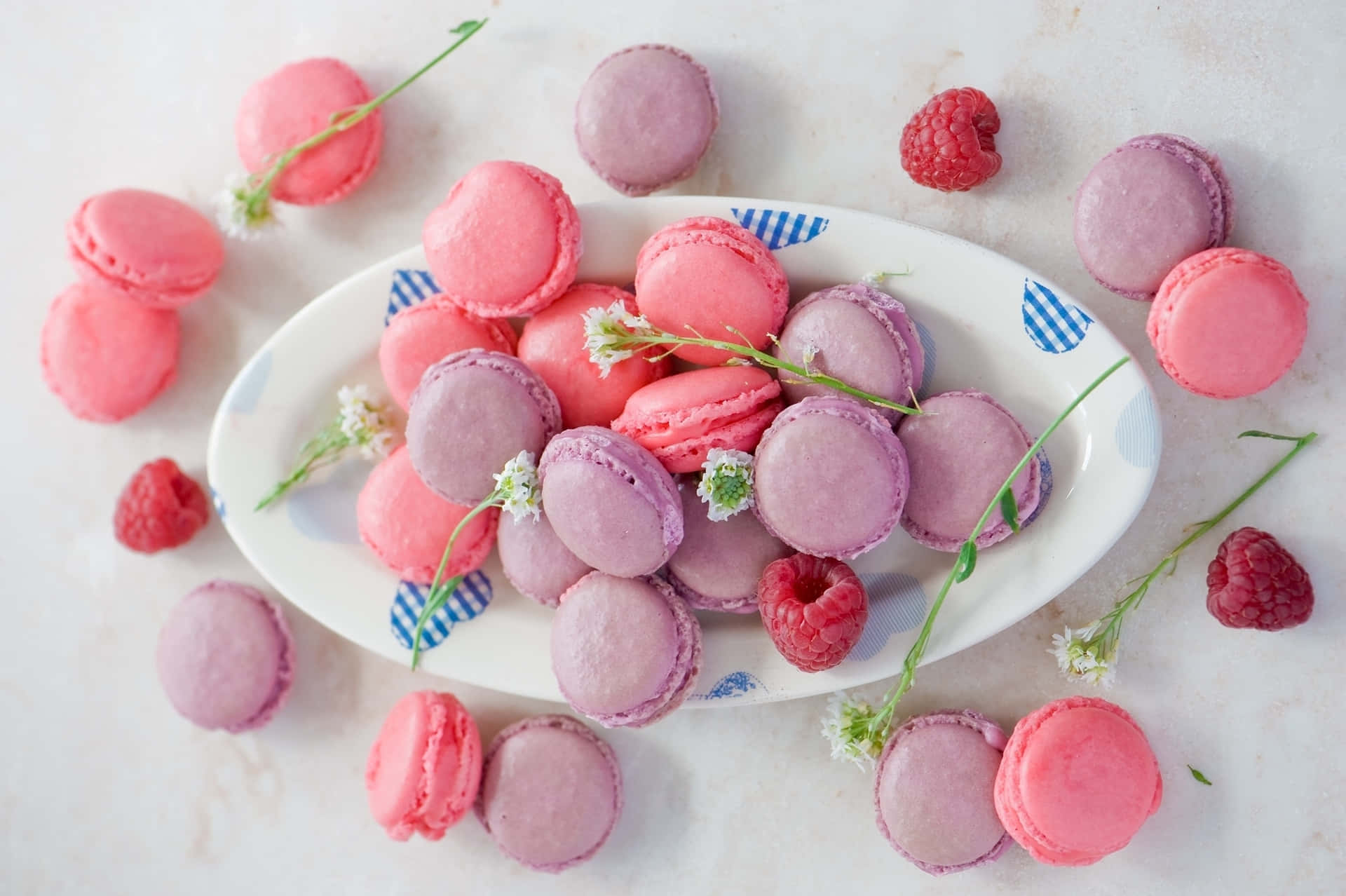 Imaginative Pink And Purple Macaron Background