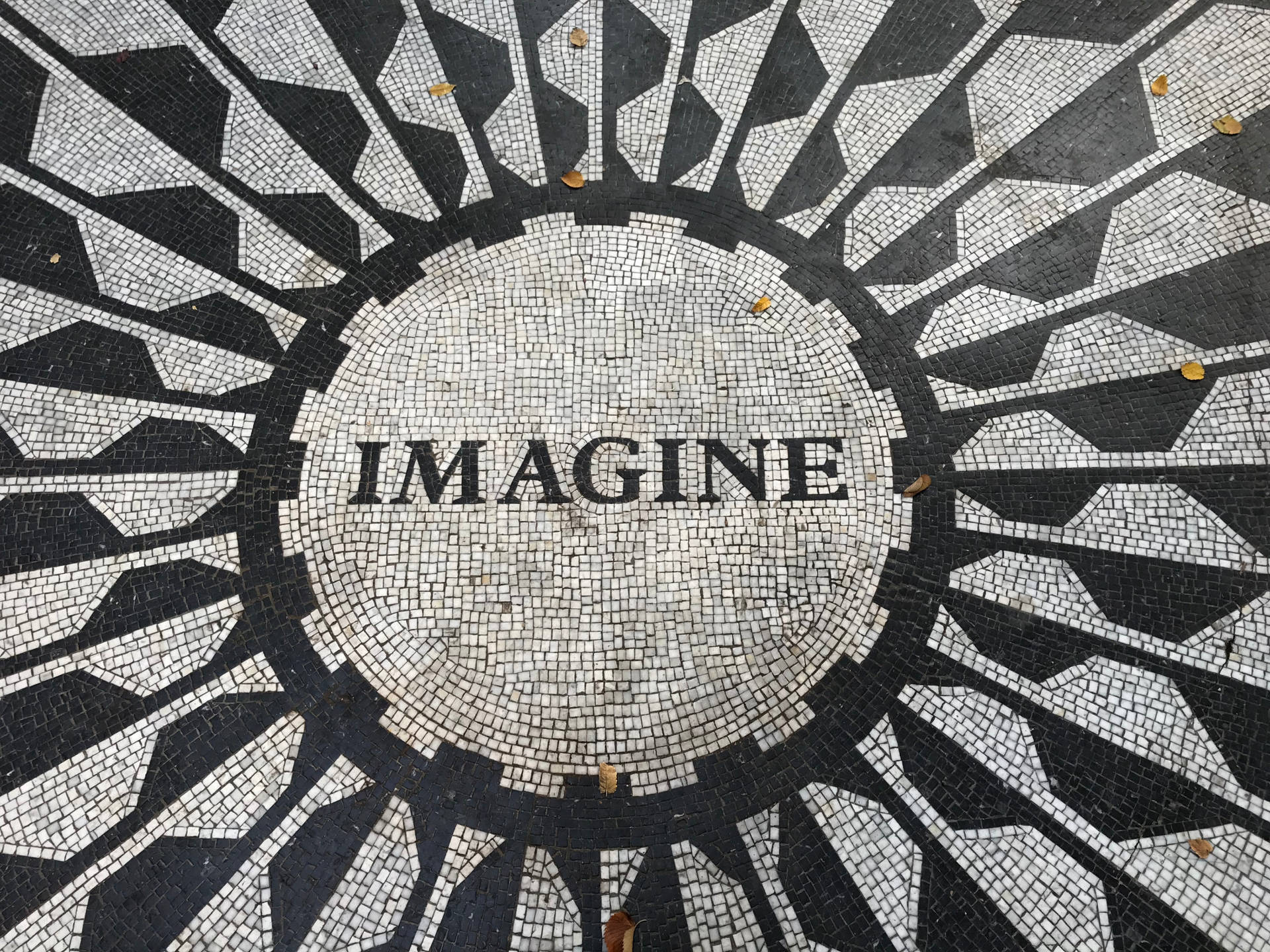 Imagine Floor Tiles