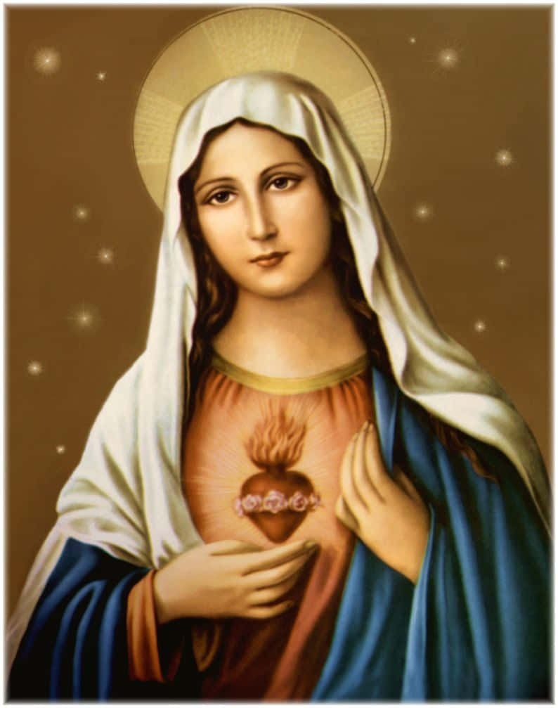Immaculate Heart Of Mother Mary Background