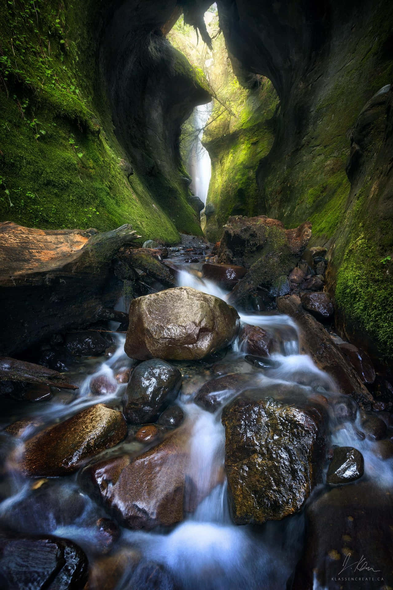 Immerse Your Senses In This Oasis Of Beauty Background