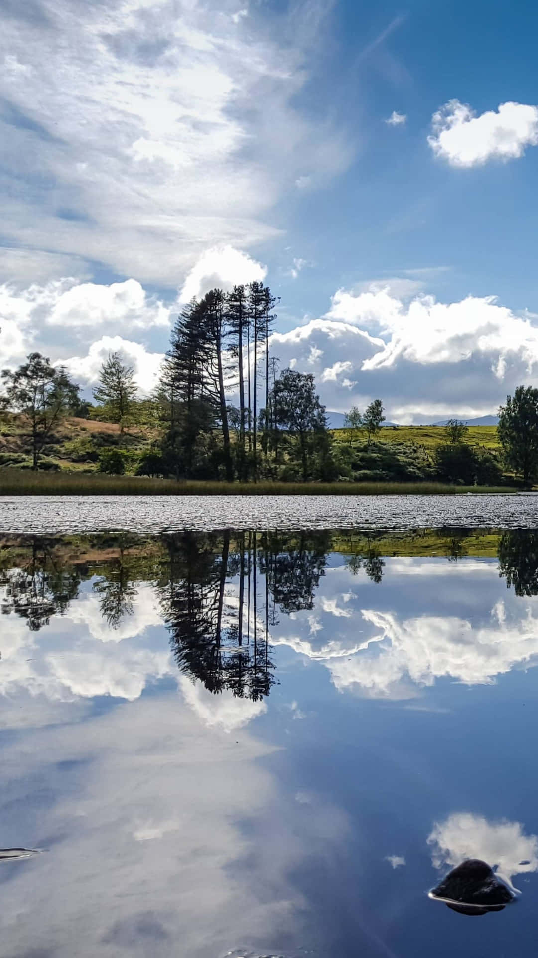 Immerse Yourself In Google Pixel Water Background