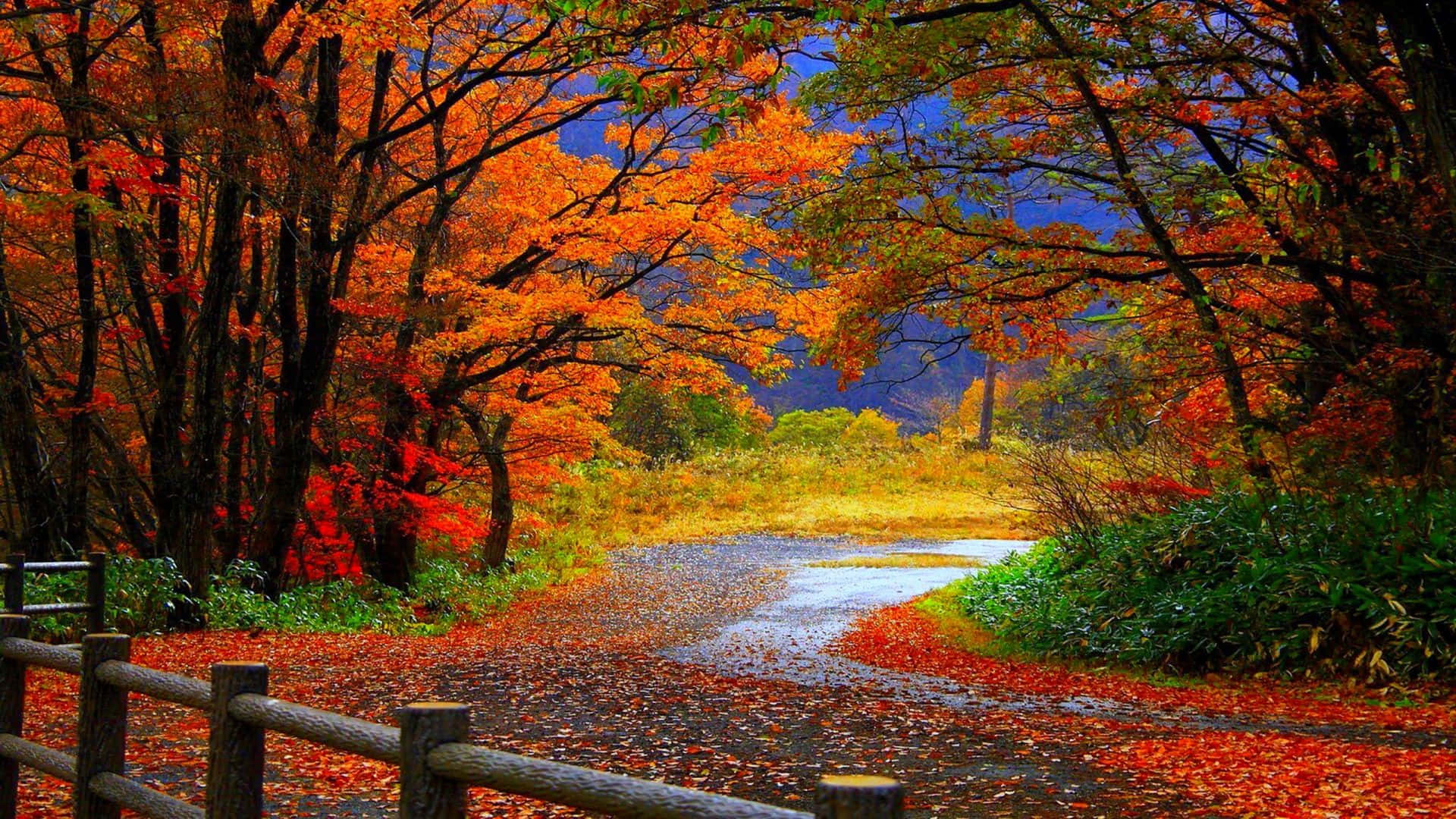 Immerse Yourself In The Beauty Of The Season With This Stunning Autumn Desktop Background. Background
