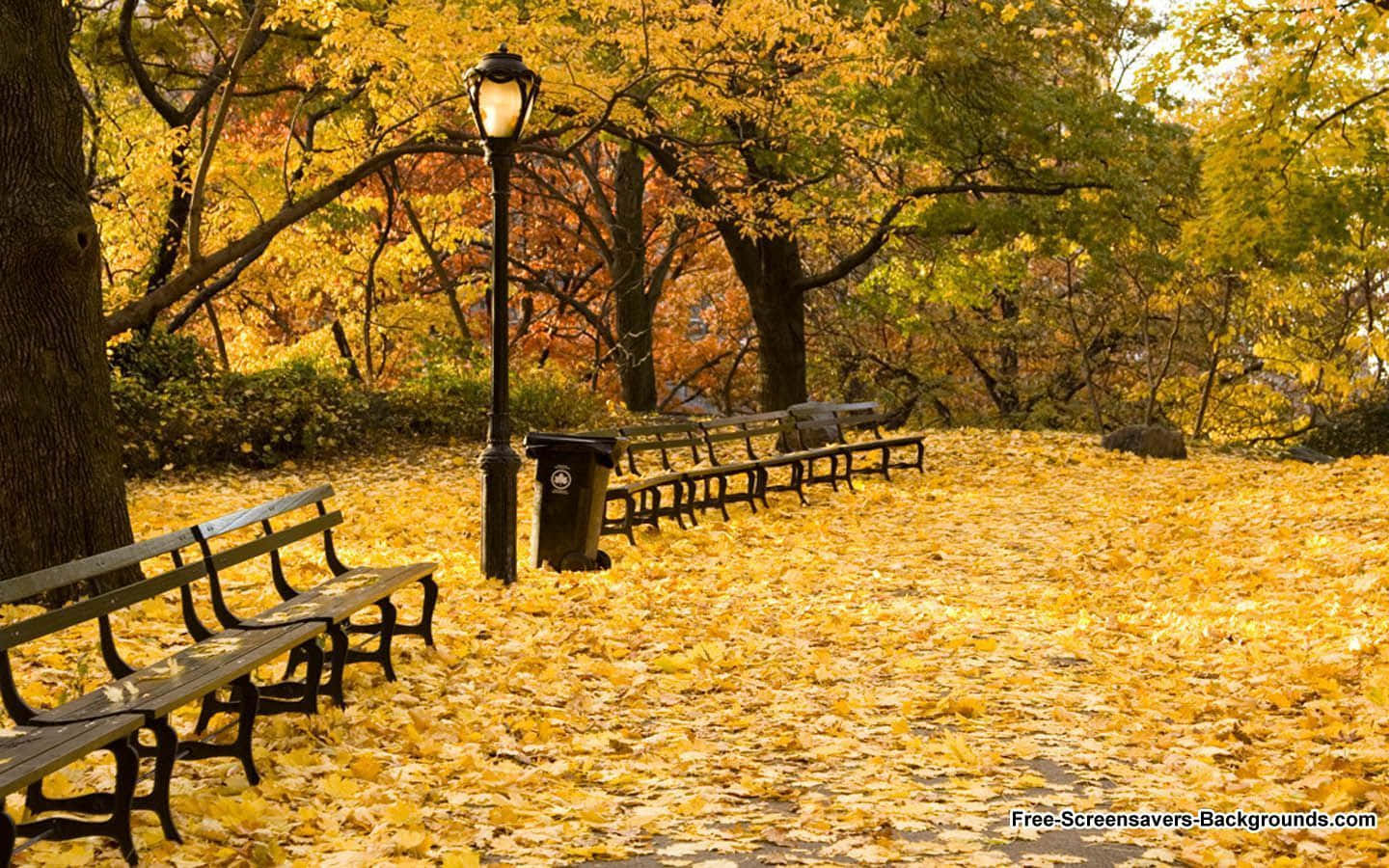 Immerse Yourself In The Colorful Beauty Of New England This Autumn.