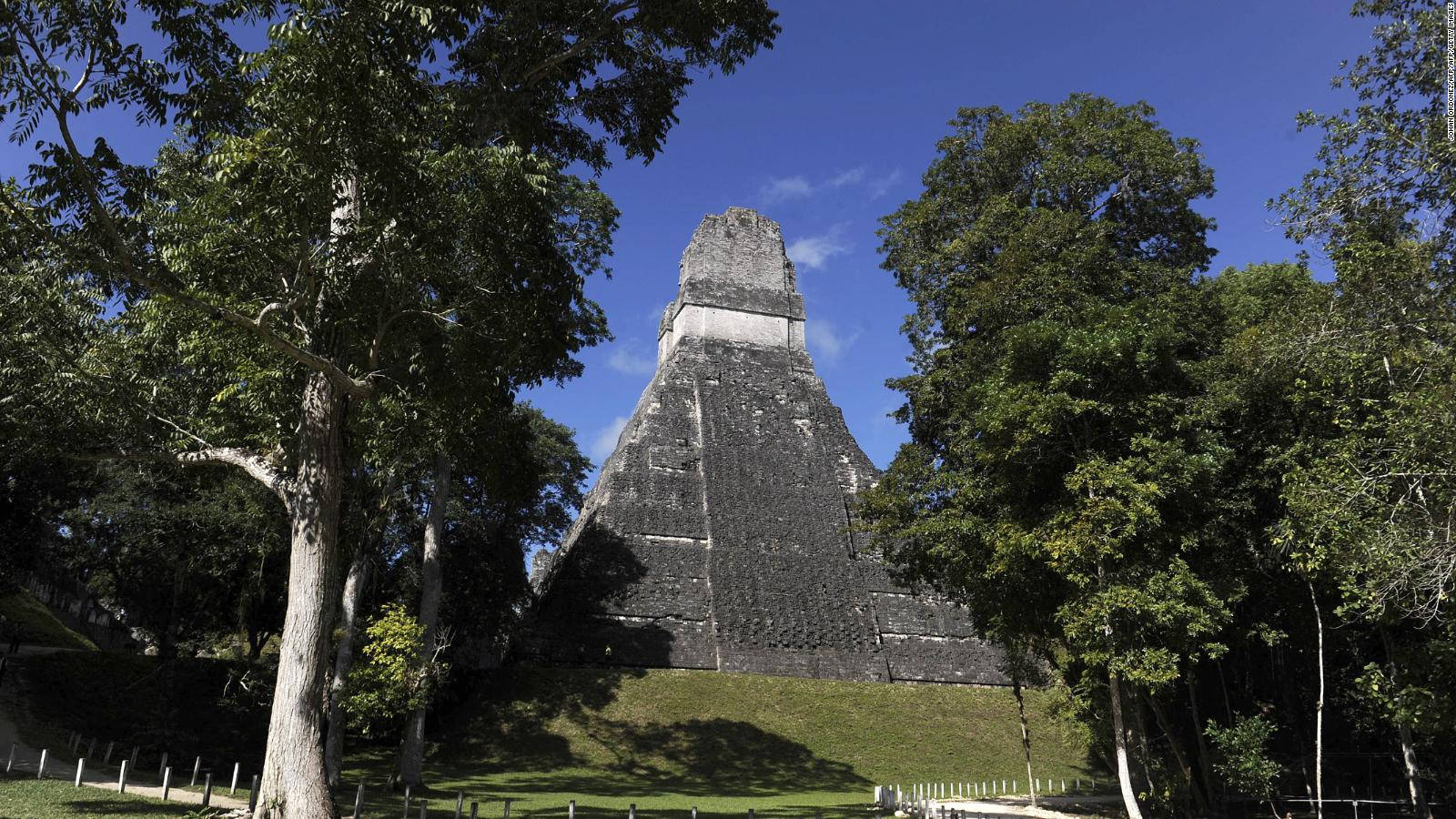 Immersed In Nature, The Ancient Mayan City Of Tikal Background